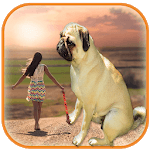 Real Big Camera – Big Effect Photo Editor for PC Real Big Camera – Big Effect Photo Editor for PC