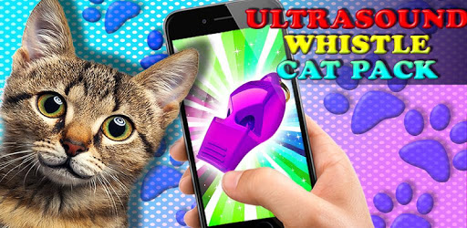 Ultrasound. Cat whistle PC screenshot