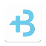 BIGtoken for PC