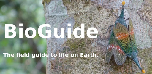 BioGuide - World Field Guide PC screenshot