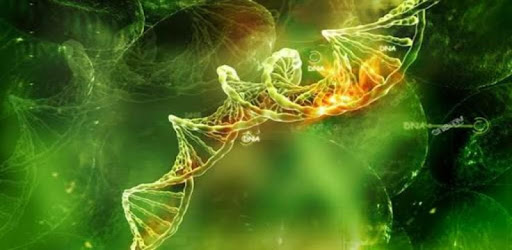 Biology Dictionary PC screenshot