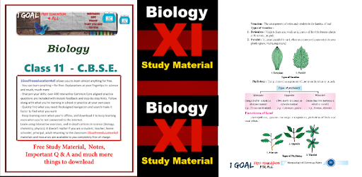 Bio-XI PC screenshot