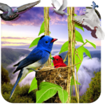 3D Birds Live Wallpaper HD icon