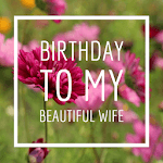 Birthday To My Beautiful Wife icon