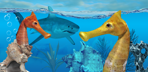 Seahorse 3D PC screenshot Seahorse 3D PC screenshot