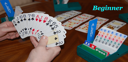 BJ Bridge Acol Beginner 2018 PC screenshot