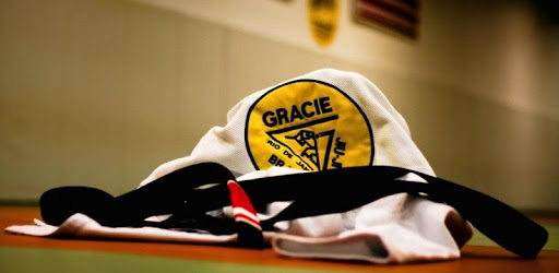 BJJ Flow (Brazilian Jiu Jitsu) PC screenshot