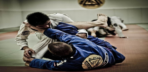 Jiu jitsu PC screenshot Jiu jitsu PC screenshot