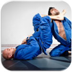 Jiu jitsu for PC Jiu jitsu for PC