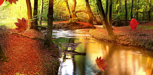 Autumn Forest Live Wallpaper PC screenshot