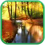 Autumn Forest Live Wallpaper icon