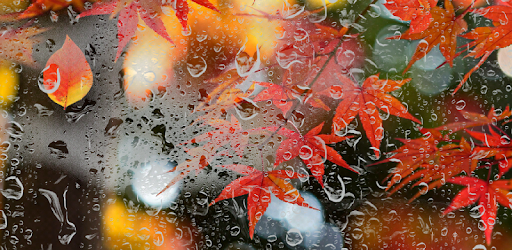Autumn Live Wallpaper HD PC screenshot