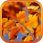 Autumn Live Wallpaper HD icon