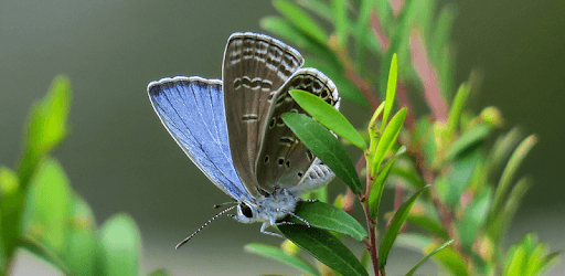 Beautiful Summer HD Wallpapers PC screenshot