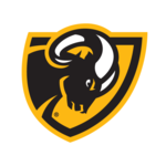 VCU Mobile for PC VCU Mobile for PC