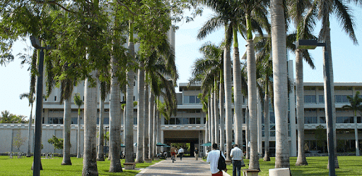 UMiami PC screenshot