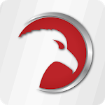 Nixa PS icon