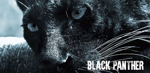Black Panther Wallpaper PC screenshot