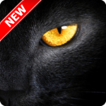 Black Panther Wallpaper for PC