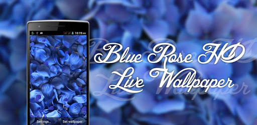 Blue Rose HD LiveWallpaper PC screenshot