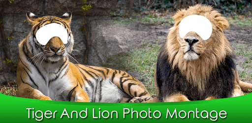 Tiger And Lion Photo Montage PC screenshot