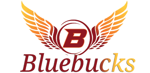 BlueBucks PC screenshot