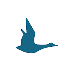 Blue Duck Scooter icon