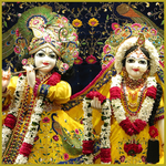 Lord Krishna Wallpapers icon