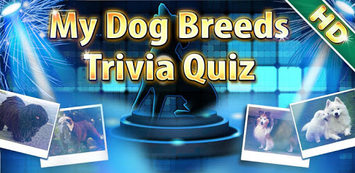 Dog Breed Animal Quiz Game PC screenshot