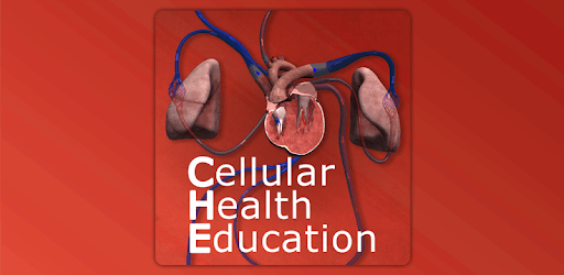 CHE: Cardiovascular System PC screenshot CHE: Cardiovascular System PC screenshot
