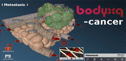 bodyxq cancer PC screenshot