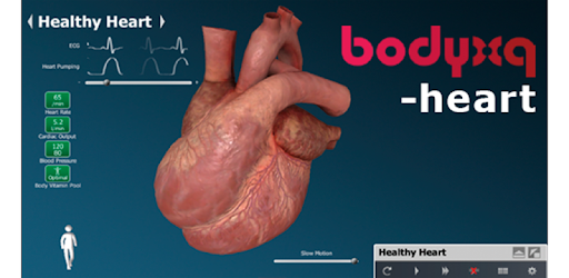bodyxq heart PC screenshot bodyxq heart PC screenshot