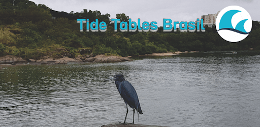 Tide Tables Brasil PC screenshot