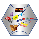 Bonrix Master Recharge for PC