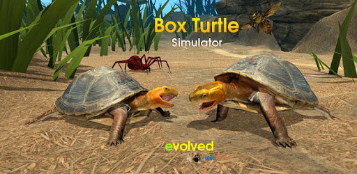 Box Turtle Simulator PC screenshot