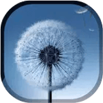 Magic Neo Wave : Dandelion LWP for PC Magic Neo Wave : Dandelion LWP for PC