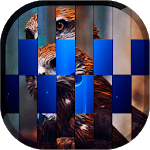 Pic FX Transition LWP for PC Pic FX Transition LWP for PC