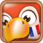 Learn French Phrases | French Translator icon
