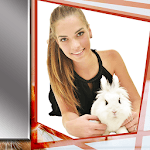 Cute Bunny Frames for PC