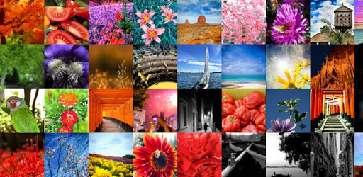 Free Color Theme Wallpaper PC screenshot Free Color Theme Wallpaper PC screenshot