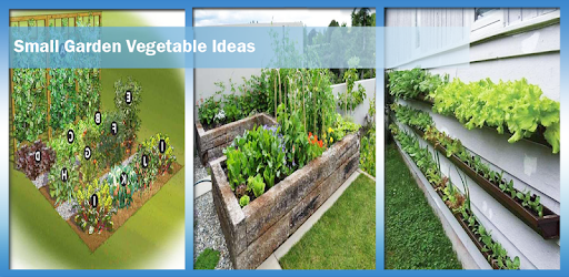 Small Garden Vegetable Ideas PC screenshot Small Garden Vegetable Ideas PC screenshot