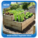 Small Garden Vegetable Ideas icon