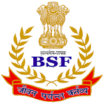 BSF PAY&GPF icon