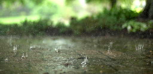 Real Rain Live Wallpaper PC screenshot