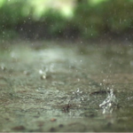 Real Rain Live Wallpaper icon