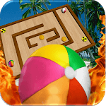 Survivor Fire Ball Maze 3D for PC