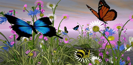 Butterfly Wallpapers for Chat PC screenshot