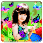 Butterfly Photo Frames New for PC Butterfly Photo Frames New for PC