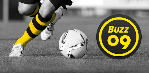 Buzz09 - Borussia Dortmund BVB PC screenshot Buzz09 - Borussia Dortmund BVB PC screenshot