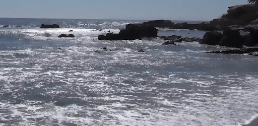 Beach Real Live Wallpaper PC screenshot